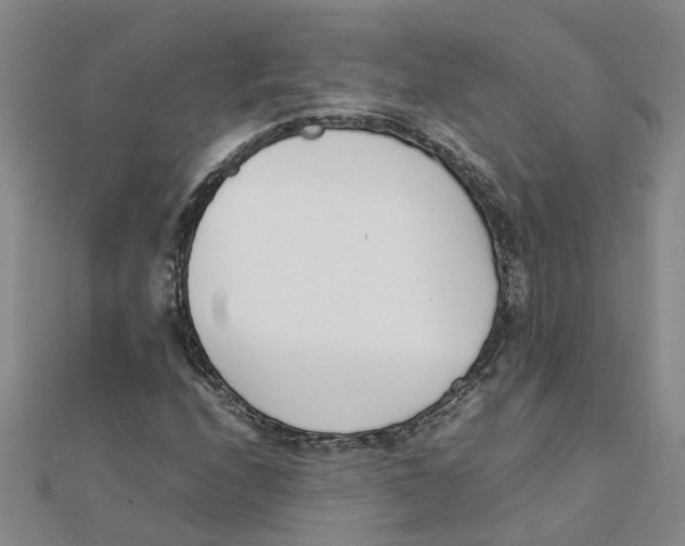 X0000111501208200908111239