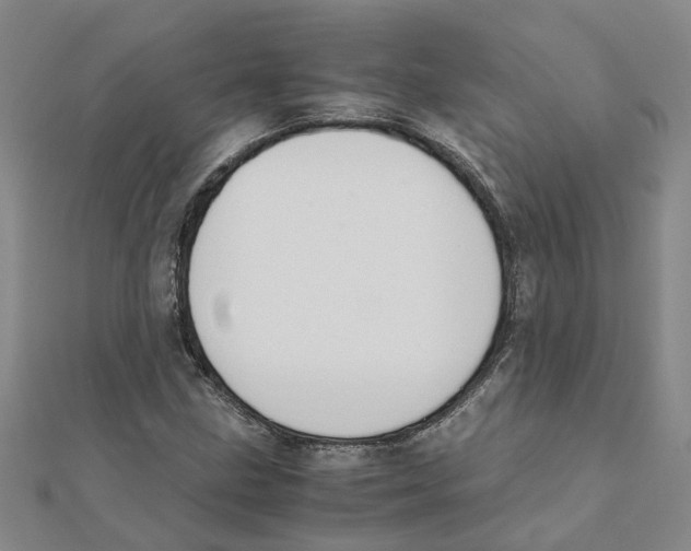 X0000111501211200908111239