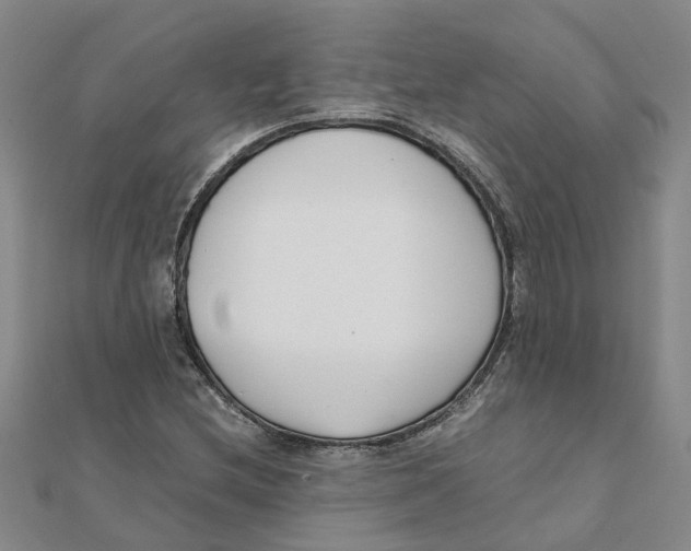 X0000111501212200908111239