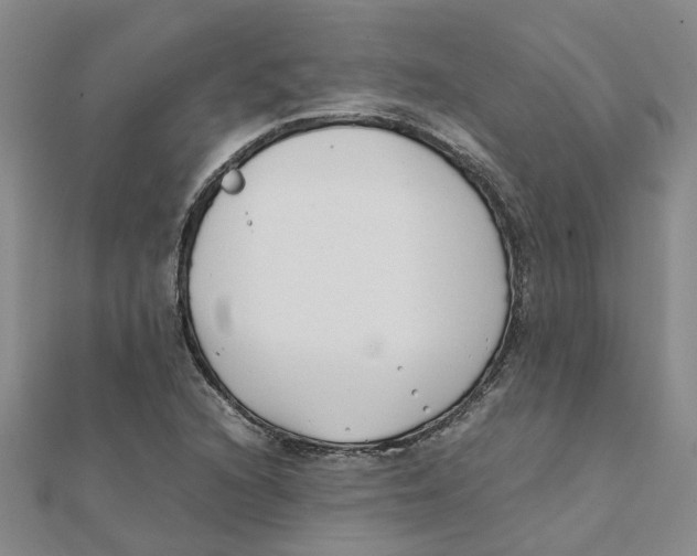 X0000111501216200908111239