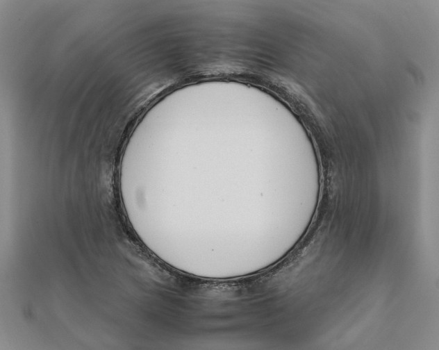 X0000111501217200908111239