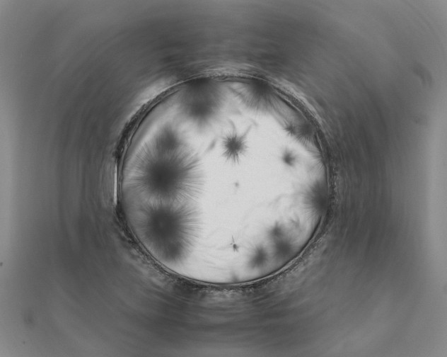 X0000111501219200908111239