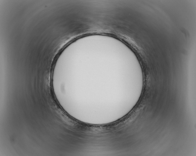 X0000111501220200908111239