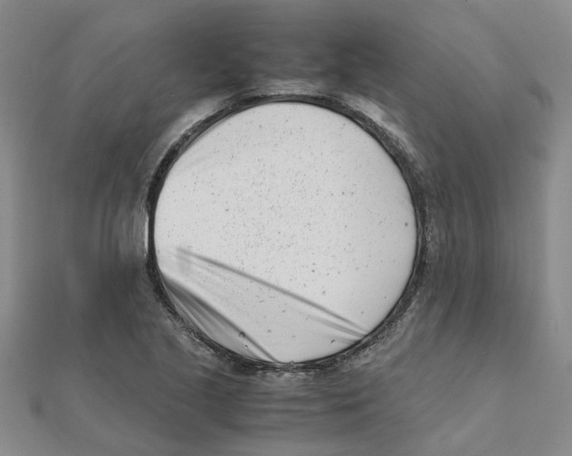 X0000111501221200908111239