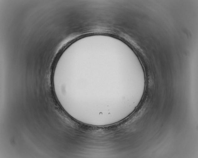 X0000111501222200908111239