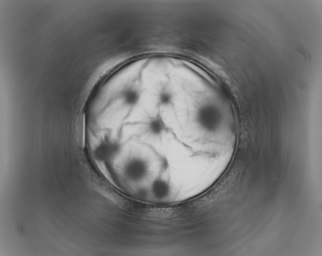 X0000111501223200908111239