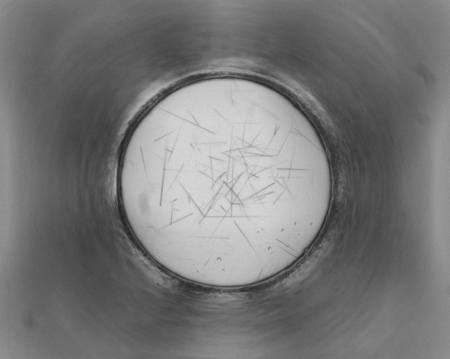 X0000111501224200908111239