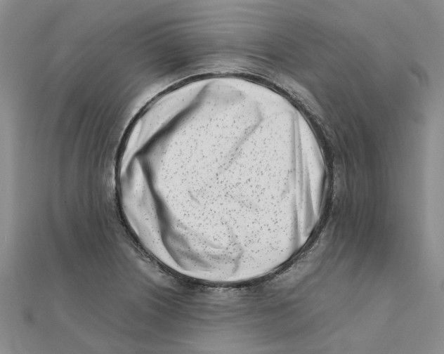 X0000111501226200908111239