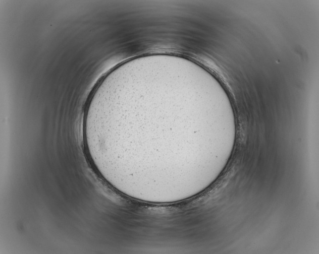 X0000111501227200908111239