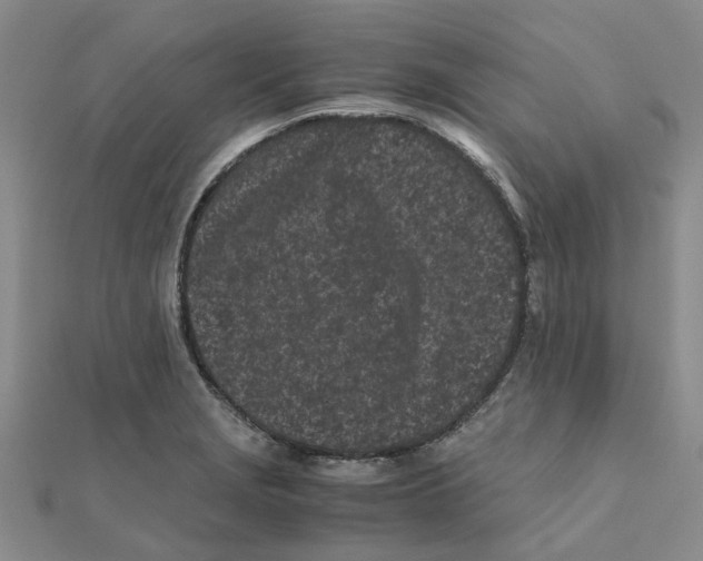 X0000111501229200908111239