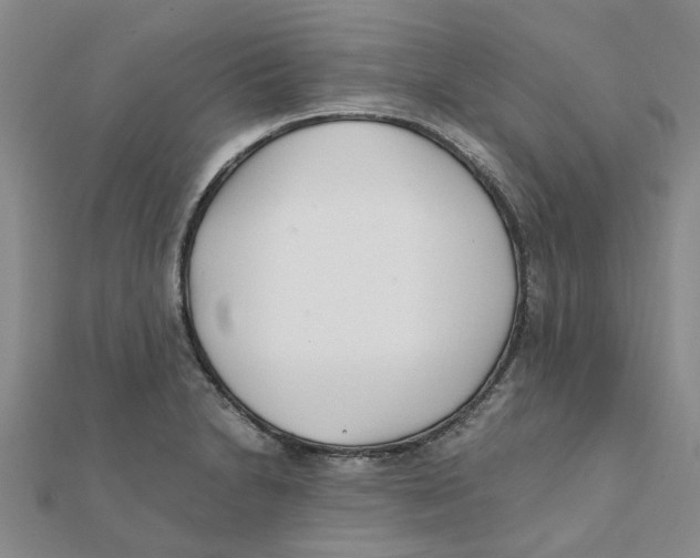 X0000111501230200908111239