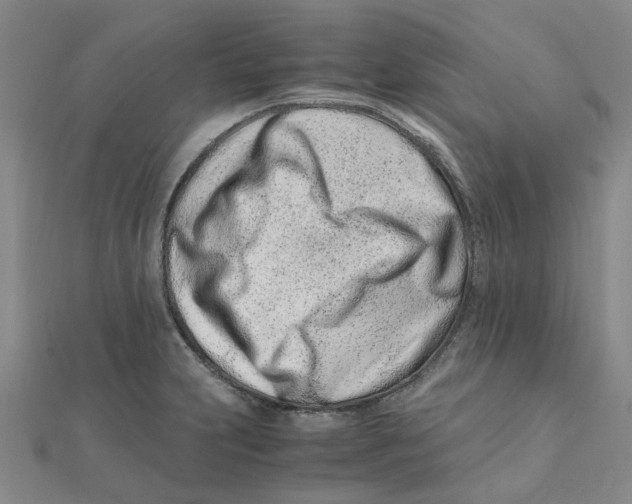 X0000111501231200908111239