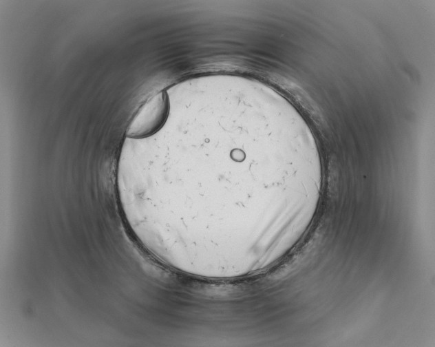 X0000111501233200908111239