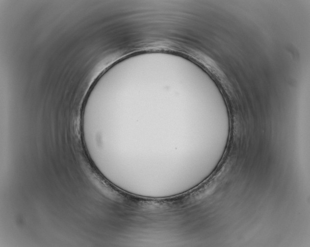 X0000111501234200908111239