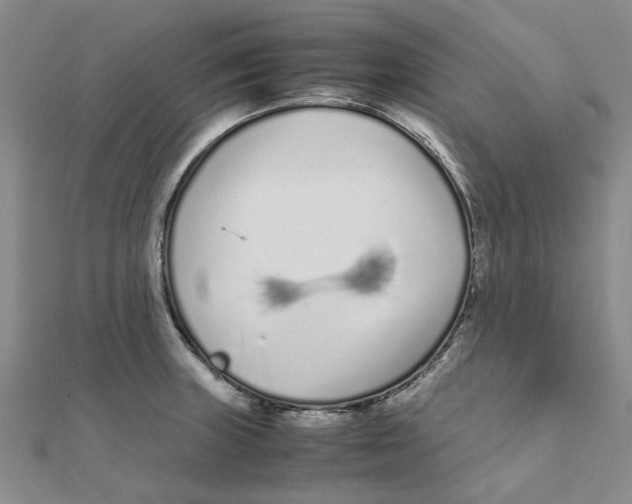 X0000111501235200908111239