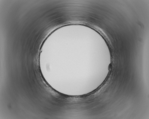 X0000111501236200908111239