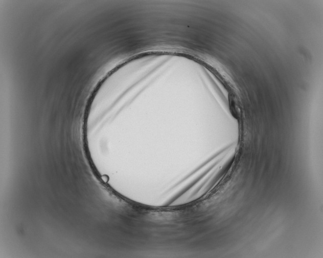 X0000111501237200908111239