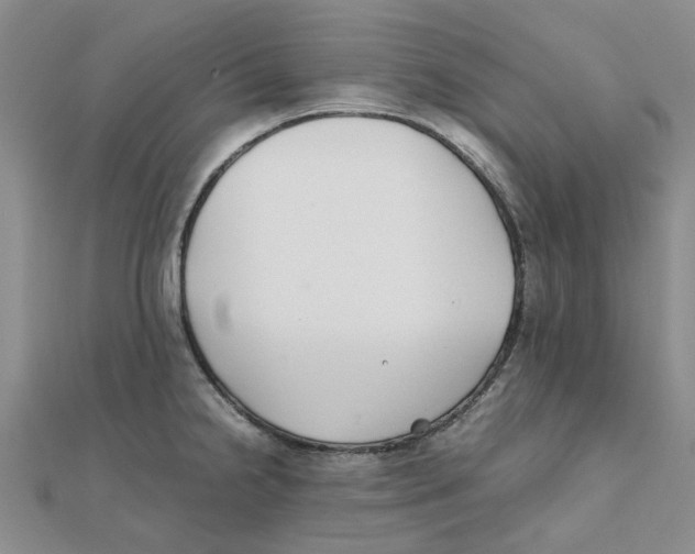 X0000111501238200908111239