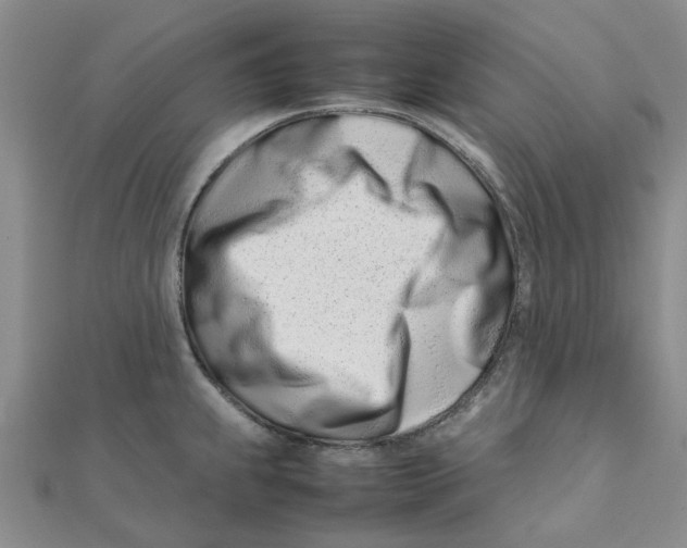 X0000111501239200908111239