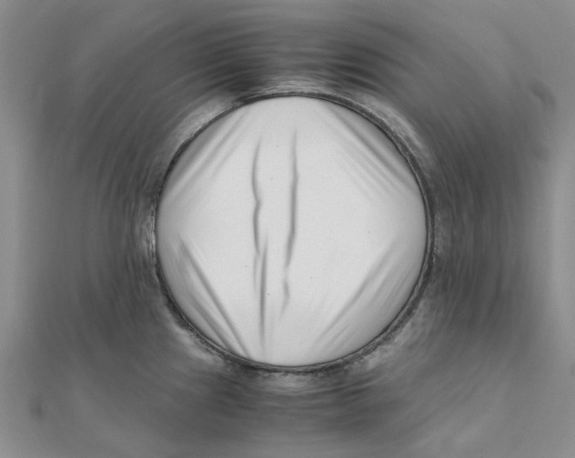 X0000111501241200908111239