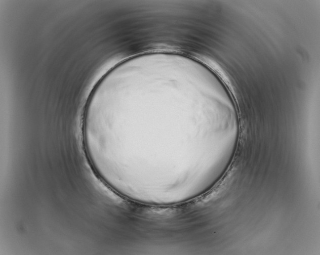 X0000111501243200908111239