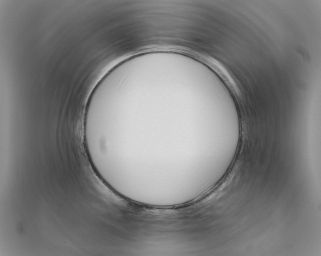 X0000111501244200908111239