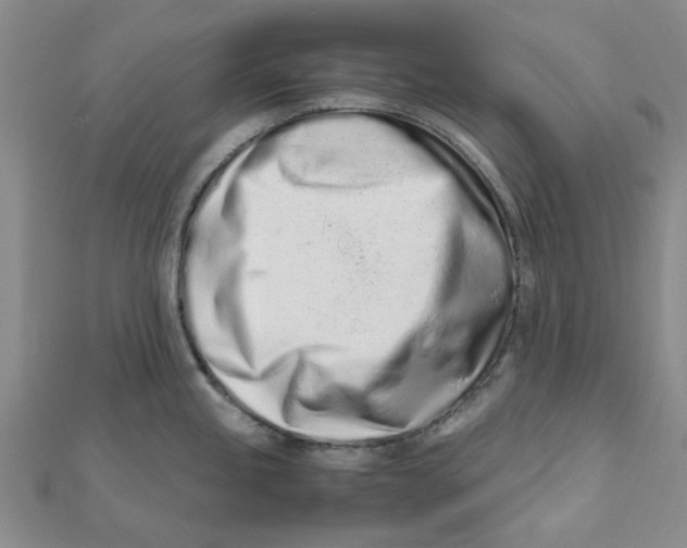 X0000111501245200908111239