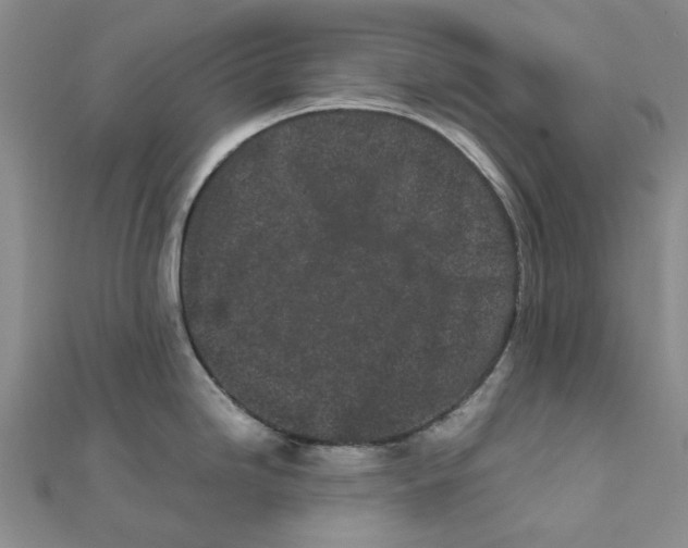 X0000111501246200908111239