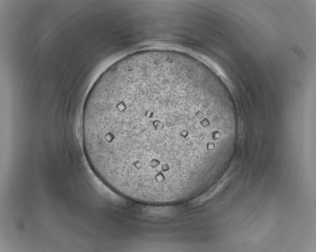 X0000111501247200908111239