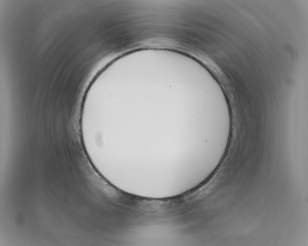 X0000111501248200908111239