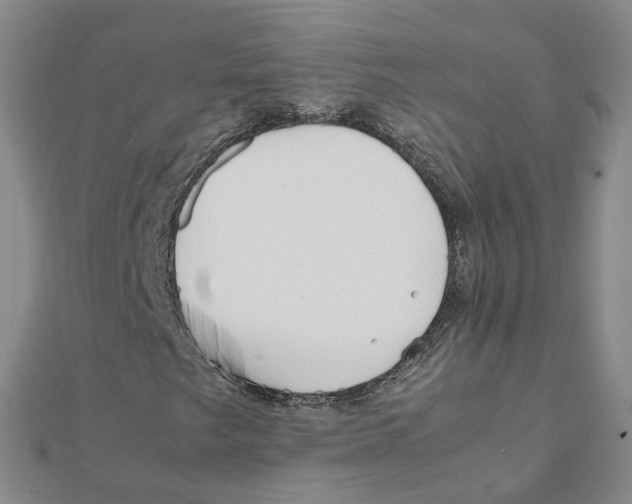 X0000111501249200908111238