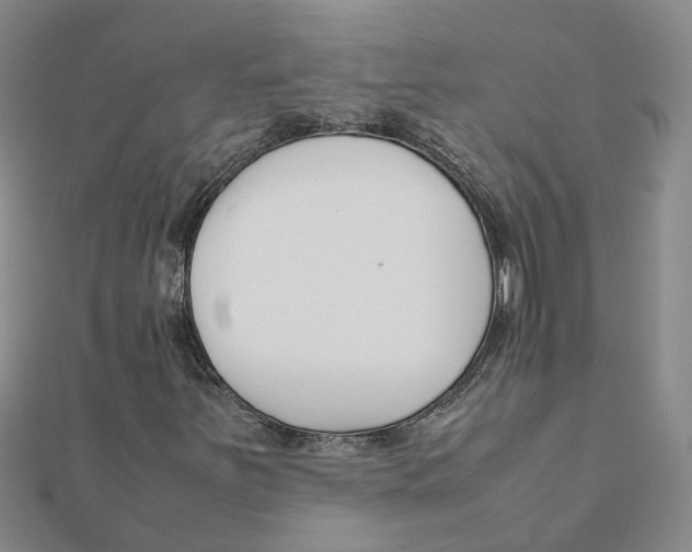 X0000111501251200908111238