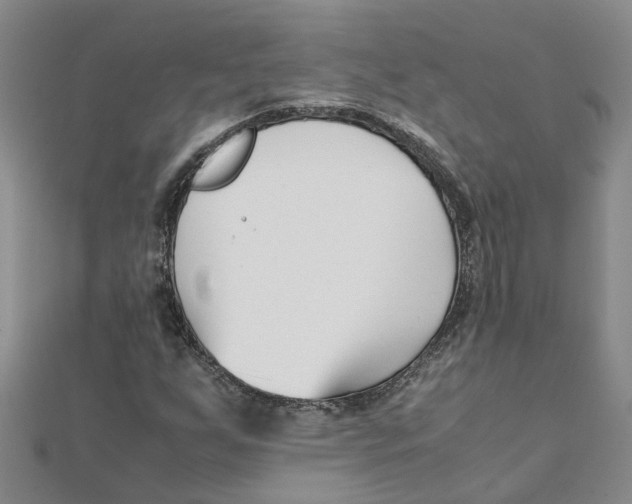 X0000111501255200908111238