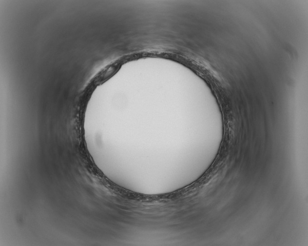 X0000111501256200908111238