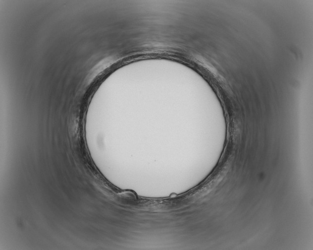 X0000111501259200908111238