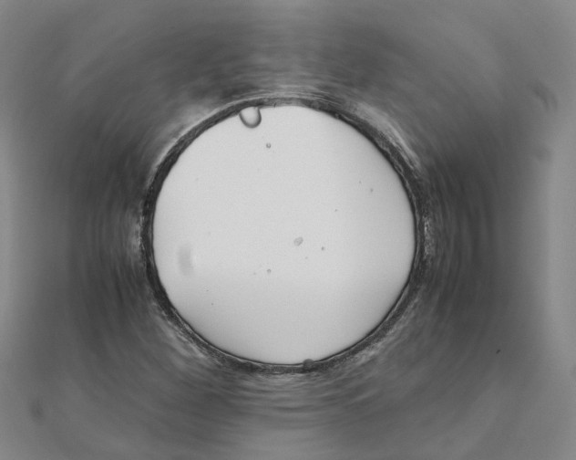 X0000111501260200908111238