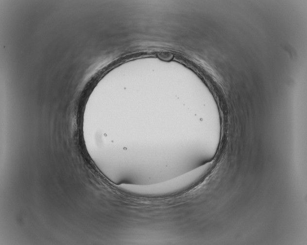 X0000111501261200908111238