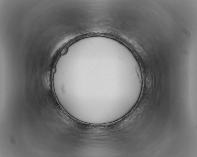 X0000111501262200908111238