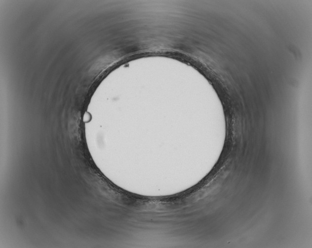 X0000111501265200908111238