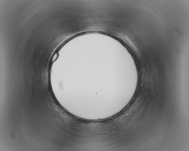 X0000111501268200908111238