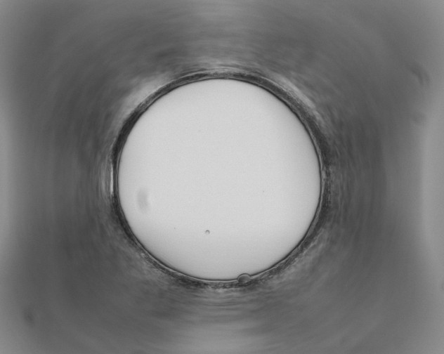 X0000111501269200908111238