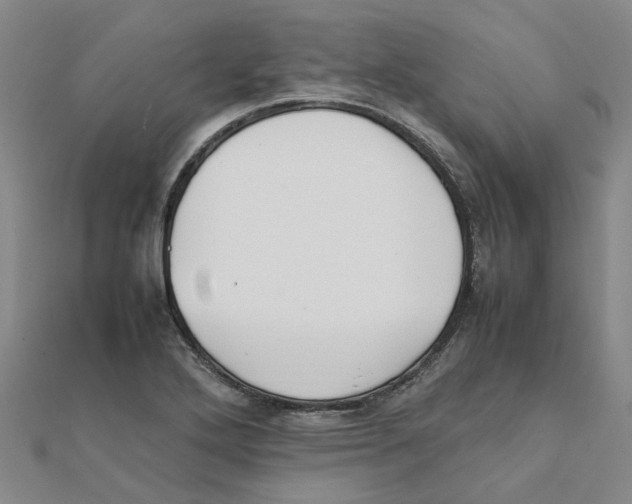 X0000111501272200908111238