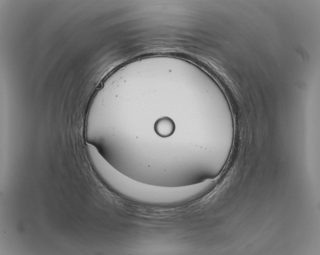 X0000111501273200908111238