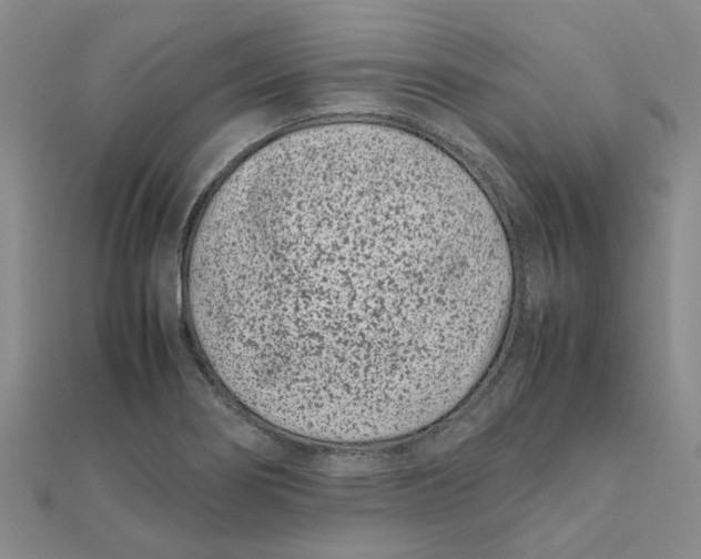 X0000111501274200908111238