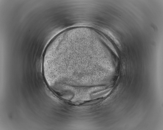 X0000111501276200908111238