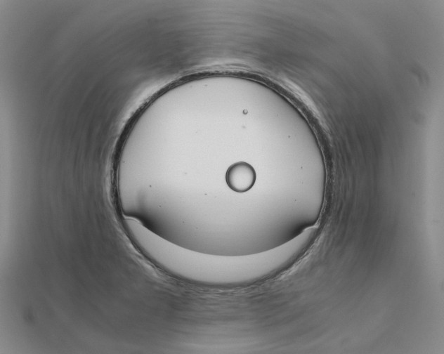 X0000111501277200908111238