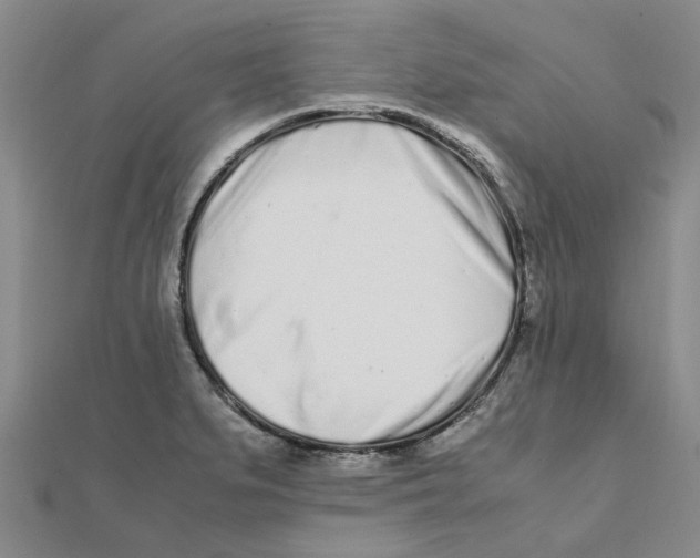 X0000111501279200908111238