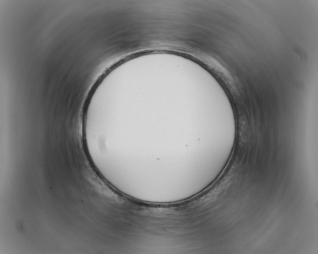 X0000111501280200908111238