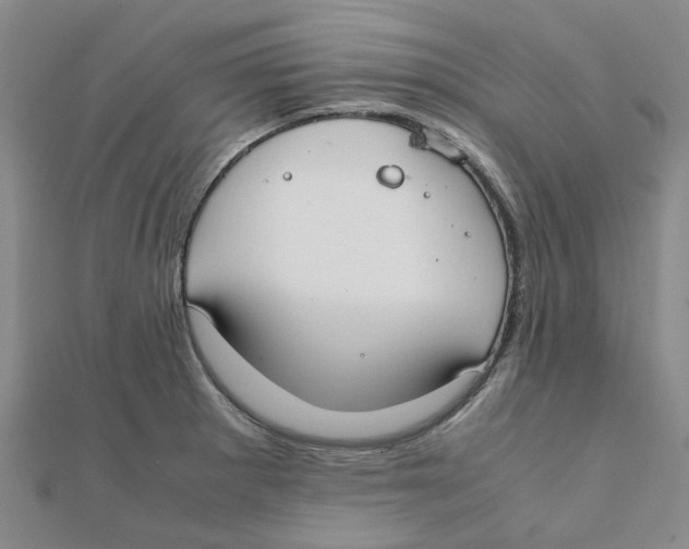 X0000111501281200908111238