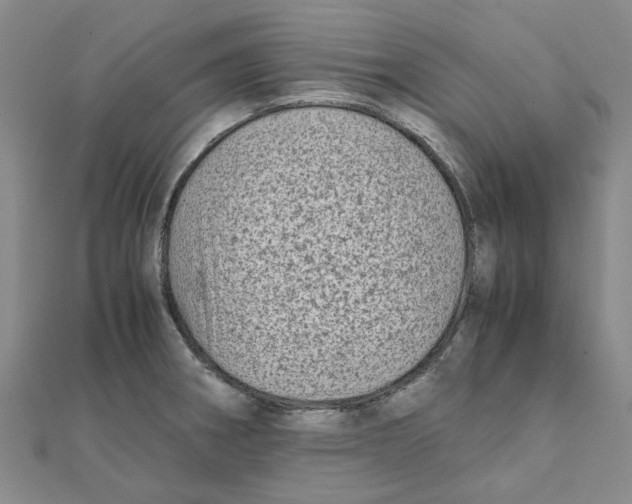 X0000111501282200908111238